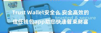 Trust Wallet安全么 安全高效的信任钱包app助您快速管束财富